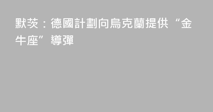 默茨：德國計劃向烏克蘭提供“金牛座”導彈