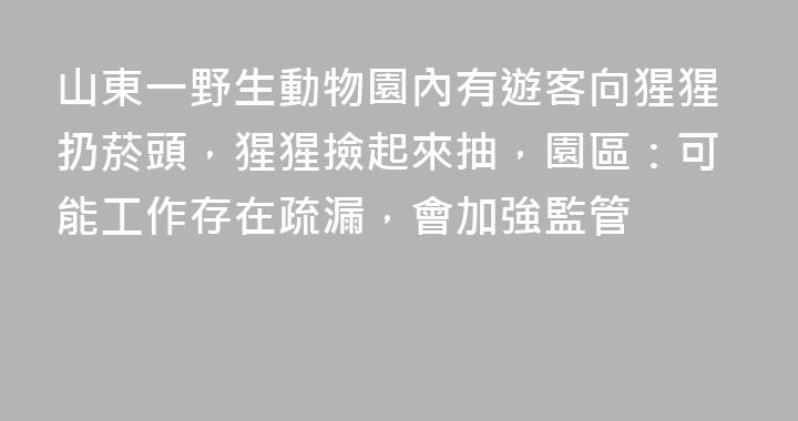 山東一野生動物園內有遊客向猩猩扔菸頭，猩猩撿起來抽，園區：可能工作存在疏漏，會加強監管