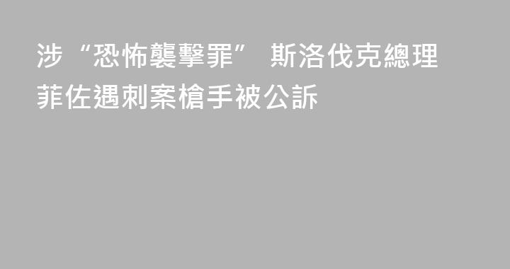 涉“恐怖襲擊罪” 斯洛伐克總理菲佐遇刺案槍手被公訴