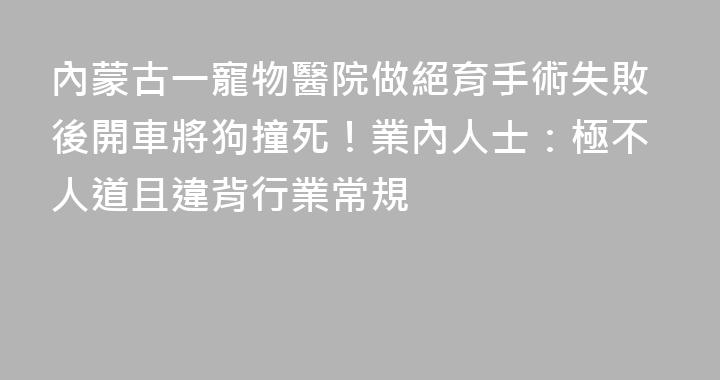 內蒙古一寵物醫院做絕育手術失敗後開車將狗撞死！業內人士：極不人道且違背行業常規