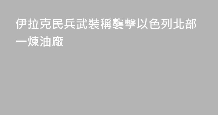 伊拉克民兵武裝稱襲擊以色列北部一煉油廠