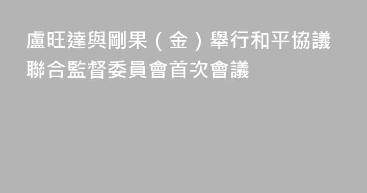 盧旺達與剛果（金）舉行和平協議聯合監督委員會首次會議