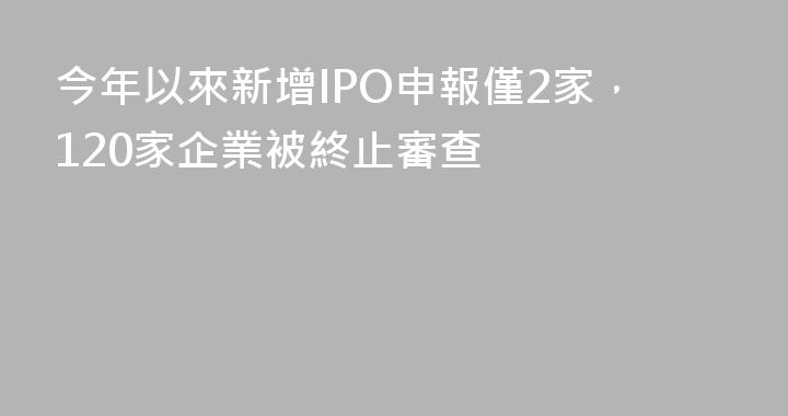 今年以來新增IPO申報僅2家，120家企業被終止審查