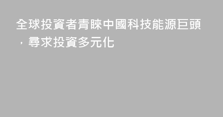 全球投資者青睞中國科技能源巨頭，尋求投資多元化