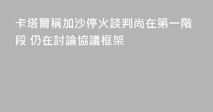 卡塔爾稱加沙停火談判尚在第一階段 仍在討論協議框架