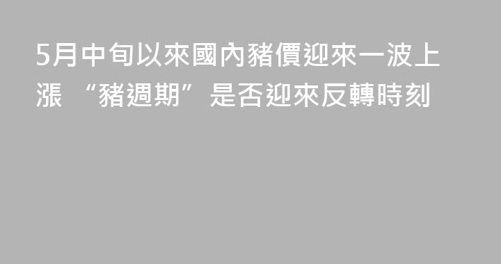 5月中旬以來國內豬價迎來一波上漲 “豬週期”是否迎來反轉時刻