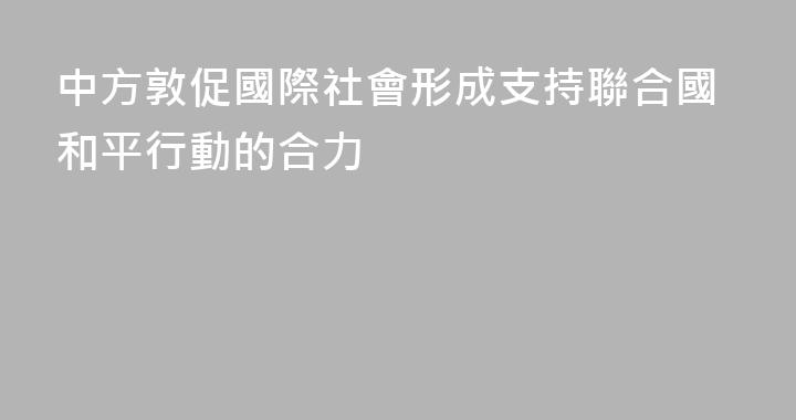 中方敦促國際社會形成支持聯合國和平行動的合力