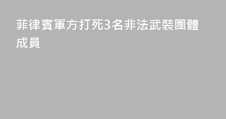 菲律賓軍方打死3名非法武裝團體成員