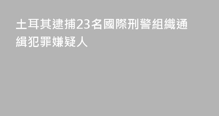 土耳其逮捕23名國際刑警組織通緝犯罪嫌疑人