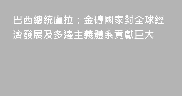 巴西總統盧拉：金磚國家對全球經濟發展及多邊主義體系貢獻巨大
