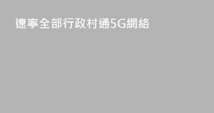 遼寧全部行政村通5G網絡