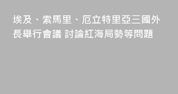 埃及、索馬里、厄立特里亞三國外長舉行會議 討論紅海局勢等問題