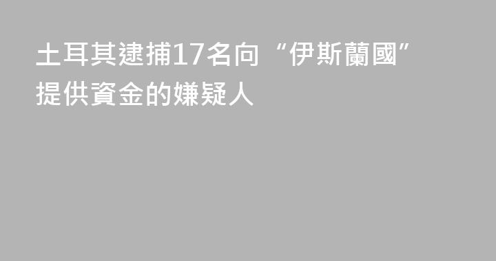 土耳其逮捕17名向“伊斯蘭國”提供資金的嫌疑人