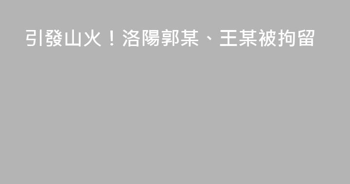 引發山火！洛陽郭某、王某被拘留