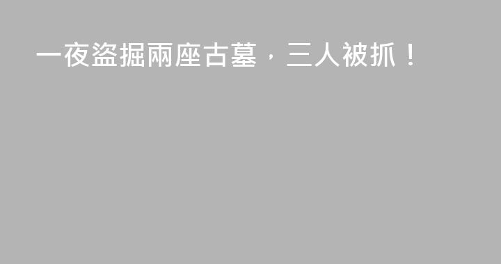 一夜盜掘兩座古墓，三人被抓！