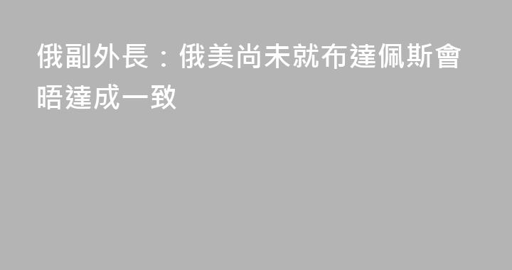 俄副外長：俄美尚未就布達佩斯會晤達成一致