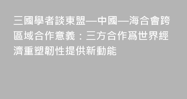 三國學者談東盟—中國—海合會跨區域合作意義：三方合作爲世界經濟重塑韌性提供新動能