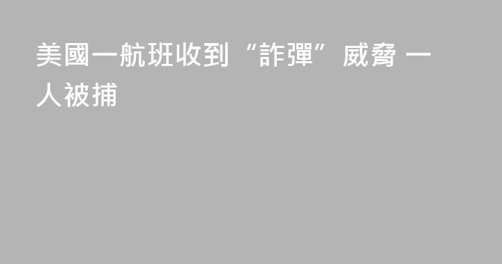 美國一航班收到“詐彈”威脅 一人被捕