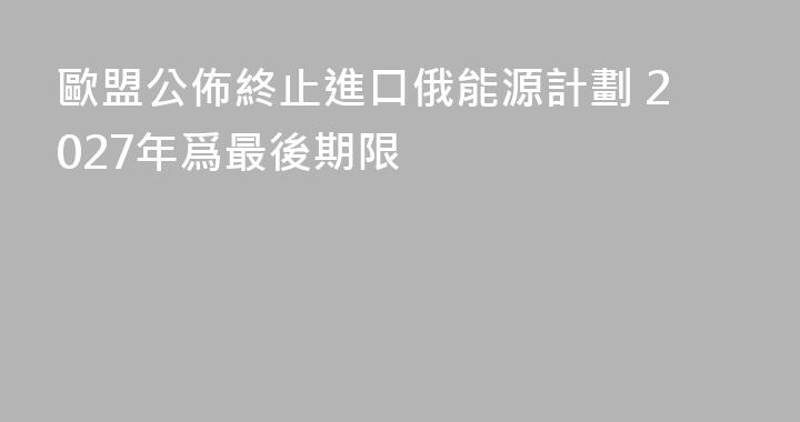 歐盟公佈終止進口俄能源計劃 2027年爲最後期限
