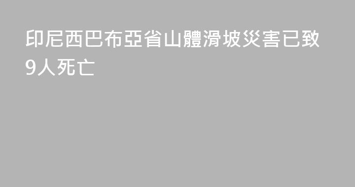 印尼西巴布亞省山體滑坡災害已致9人死亡