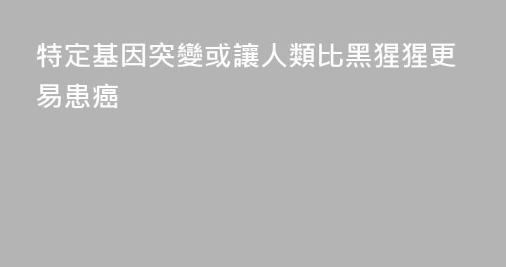 特定基因突變或讓人類比黑猩猩更易患癌