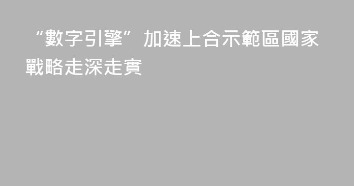 “數字引擎”加速上合示範區國家戰略走深走實
