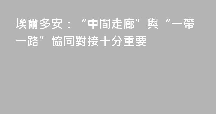 埃爾多安：“中間走廊”與“一帶一路”協同對接十分重要