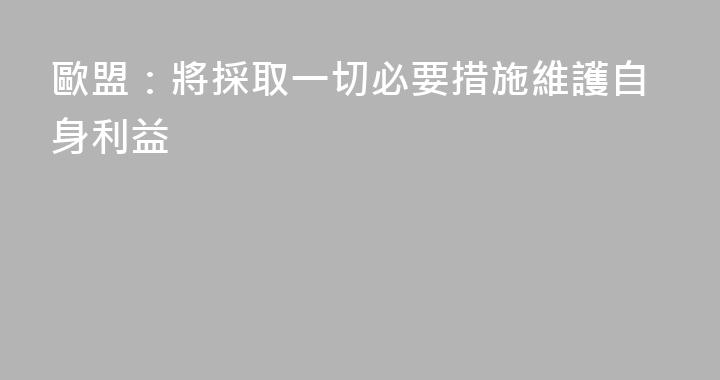 歐盟：將採取一切必要措施維護自身利益
