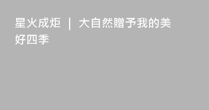 星火成炬 ｜ 大自然贈予我的美好四季