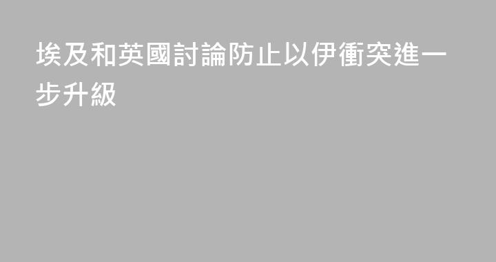 埃及和英國討論防止以伊衝突進一步升級