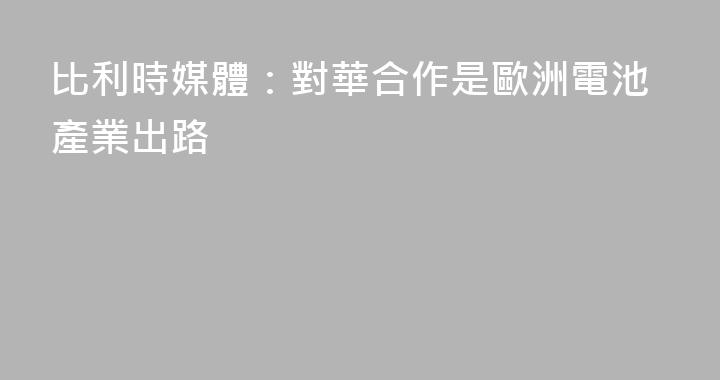 比利時媒體：對華合作是歐洲電池產業出路