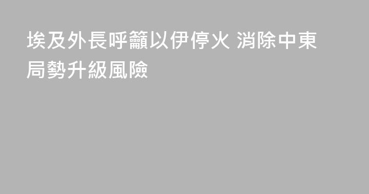 埃及外長呼籲以伊停火 消除中東局勢升級風險