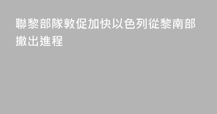 聯黎部隊敦促加快以色列從黎南部撤出進程