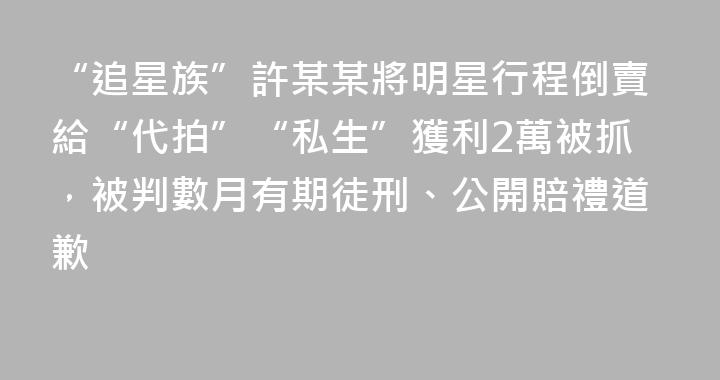 “追星族”許某某將明星行程倒賣給“代拍”“私生”獲利2萬被抓，被判數月有期徒刑、公開賠禮道歉