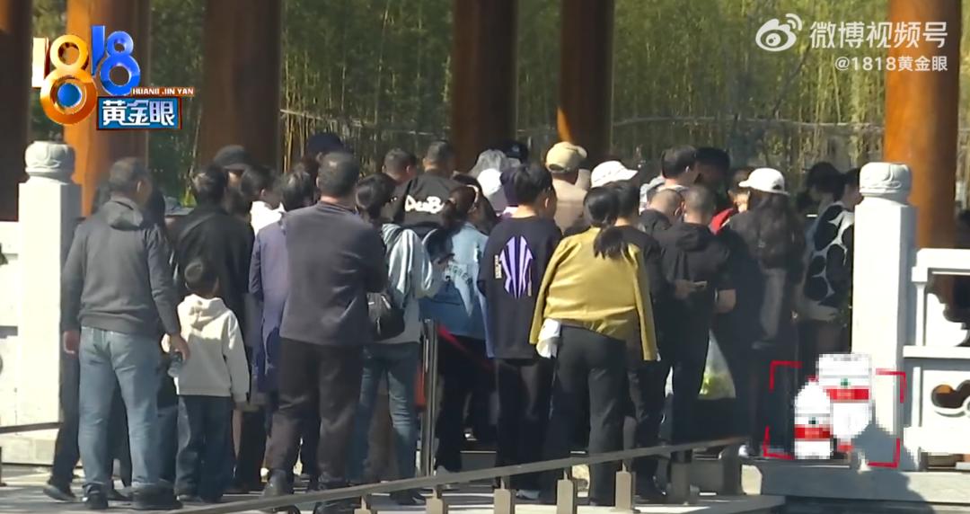 “我80多歲了，誰敢攔我？”男子景區吐槽亂插隊被老人打傷，警方介入