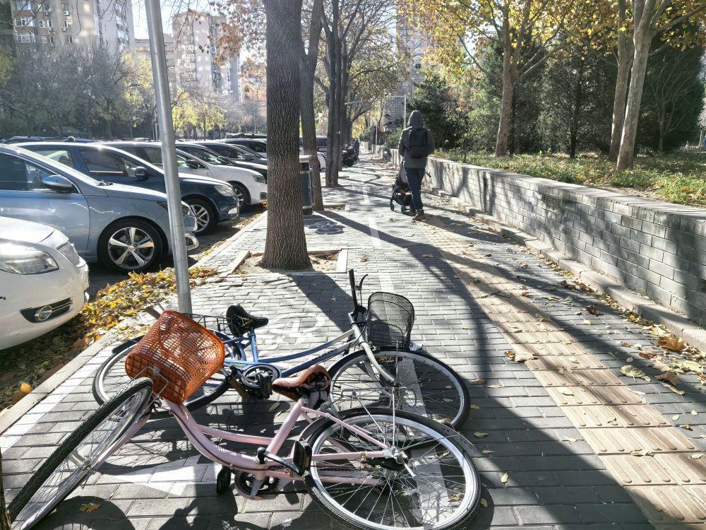 寒潮來襲、大風呼嘯，如何應對？