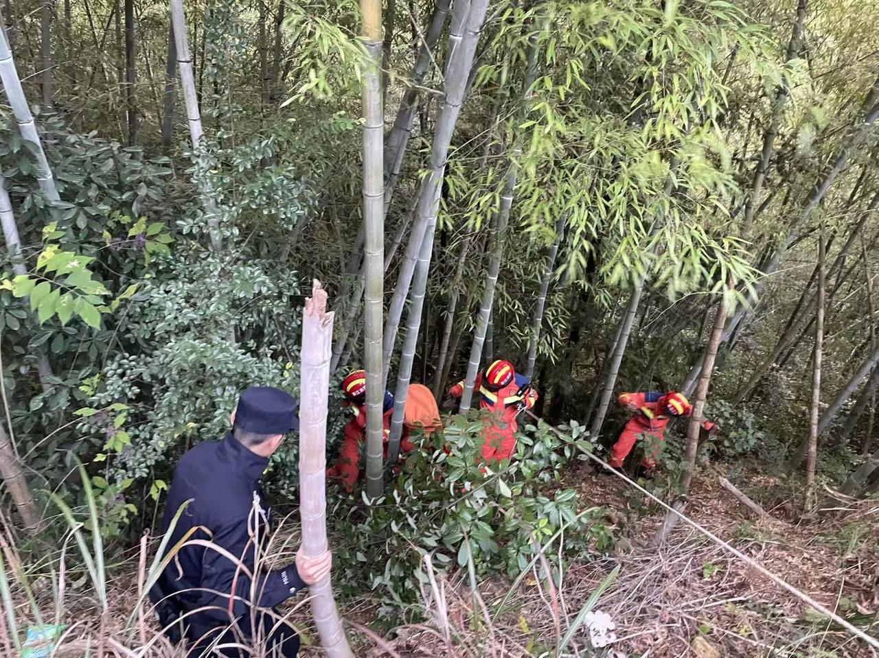 浙江八旬老人失足墜坡4米被卡竹林，多人蔘與救援