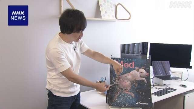 用腸道代替肺部呼吸治療呼吸衰竭？日本新研究開啓人體臨牀試驗