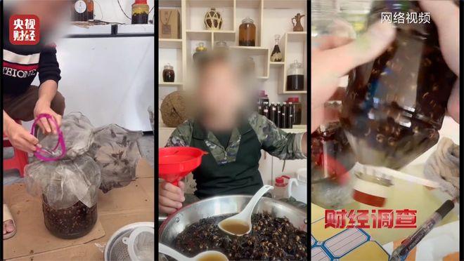 “殺人蜂”遭濫養 有人賺得盆滿鉢滿 總檯曝光