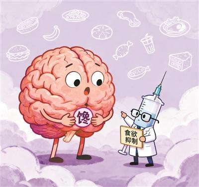 當大腦“饞蟲”遇上藥物“消音器”