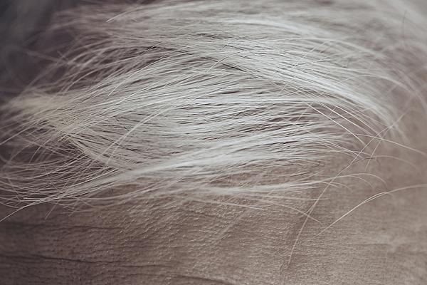 AI培訓“坑老”需警惕