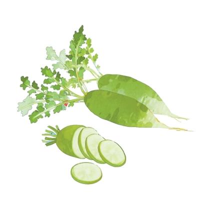 爲什麼“冬喫蘿蔔夏喫薑”