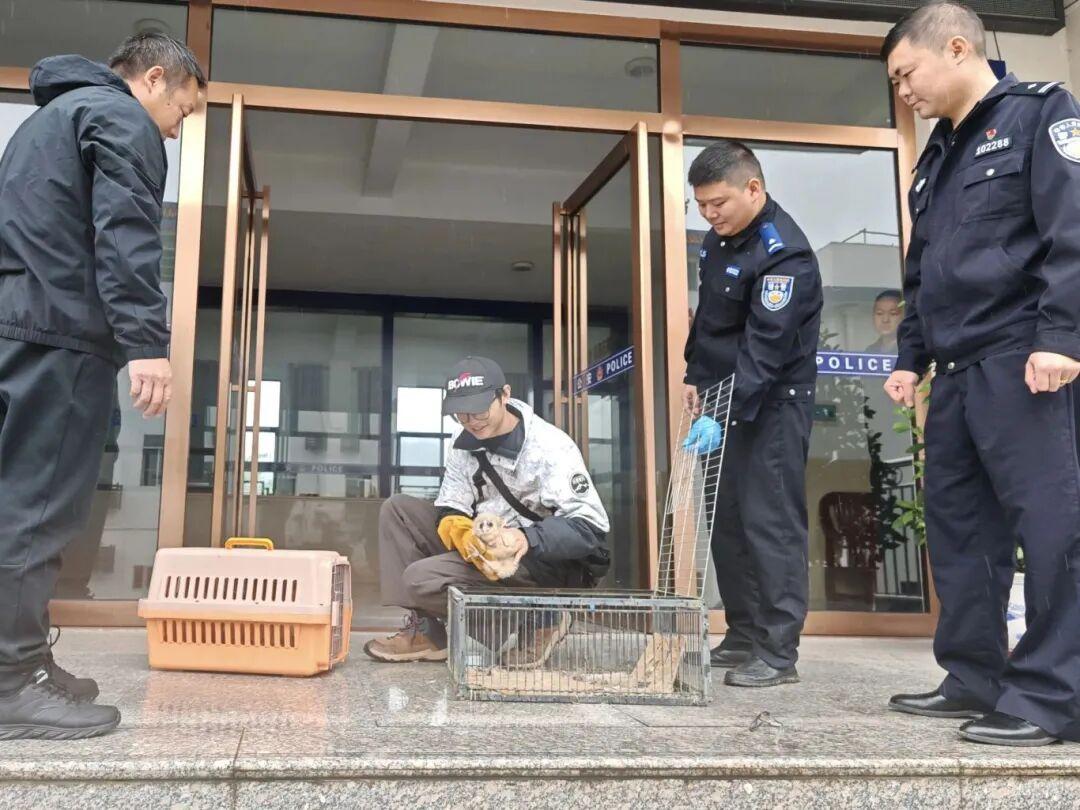 四隻瑟瑟發抖的小傢伙，成功獲救！