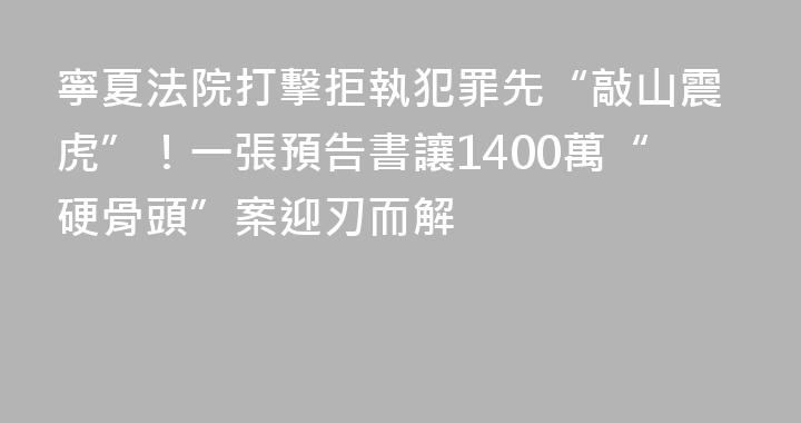 寧夏法院打擊拒執犯罪先“敲山震虎”！一張預告書讓1400萬“硬骨頭”案迎刃而解