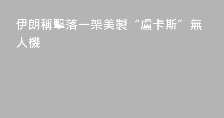 伊朗稱擊落一架美製“盧卡斯”無人機