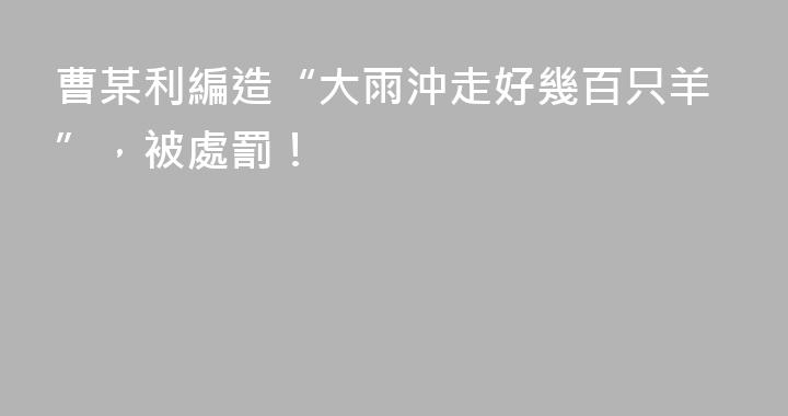 曹某利編造“大雨沖走好幾百只羊”，被處罰！