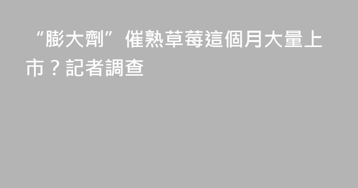 “膨大劑”催熟草莓這個月大量上市？記者調查