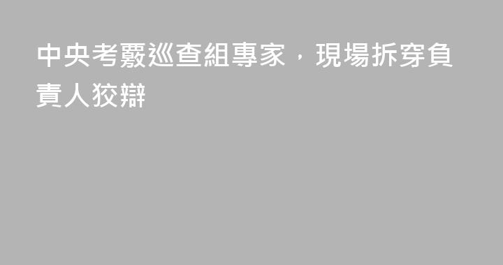 中央考覈巡查組專家，現場拆穿負責人狡辯