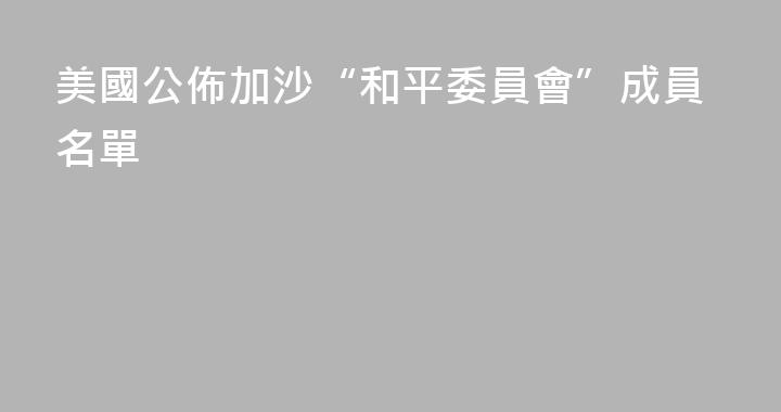 美國公佈加沙“和平委員會”成員名單