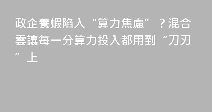 政企養蝦陷入“算力焦慮”？混合雲讓每一分算力投入都用到“刀刃”上